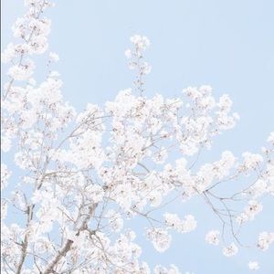 Meet your Posher, Gabi